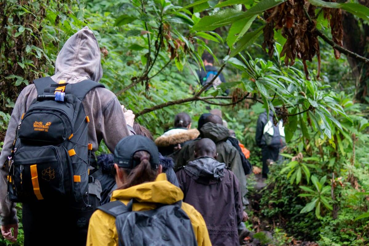 Destination Rwanda Destination Rwanda