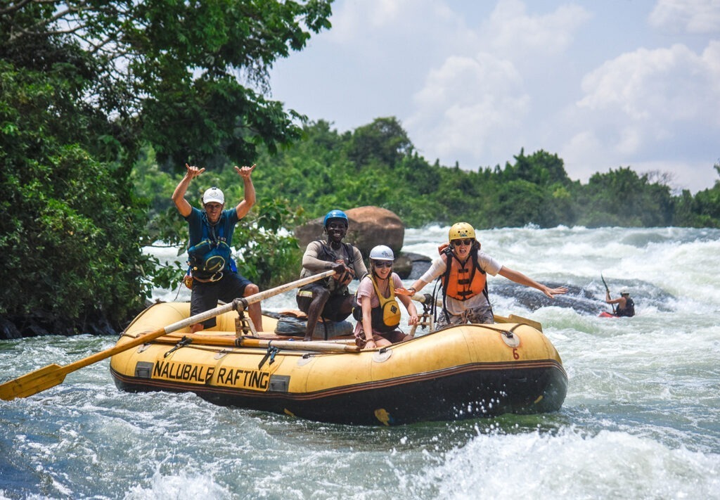 - Best Uganda Safaris – Gorilla Trekking & Wildlife Adventure