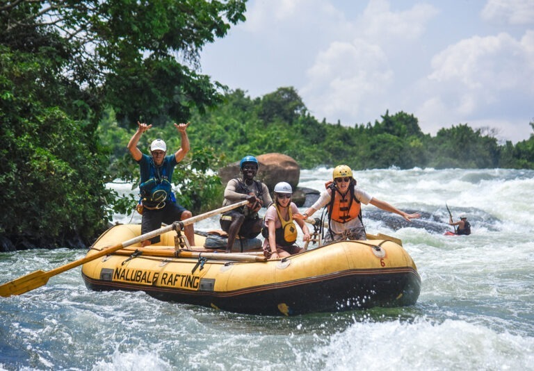 - Best Uganda Safaris – Gorilla Trekking & Wildlife Adventure