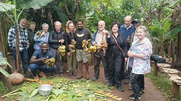 Discounted Group Safari Packages – Affordable Gorilla Trekking & Wildlife Adventures in Uganda!