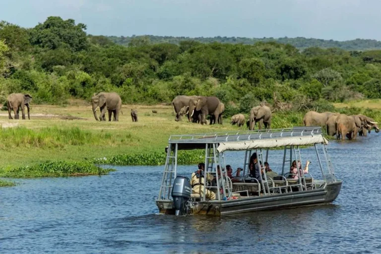 Exotic Murchison Falls Safari