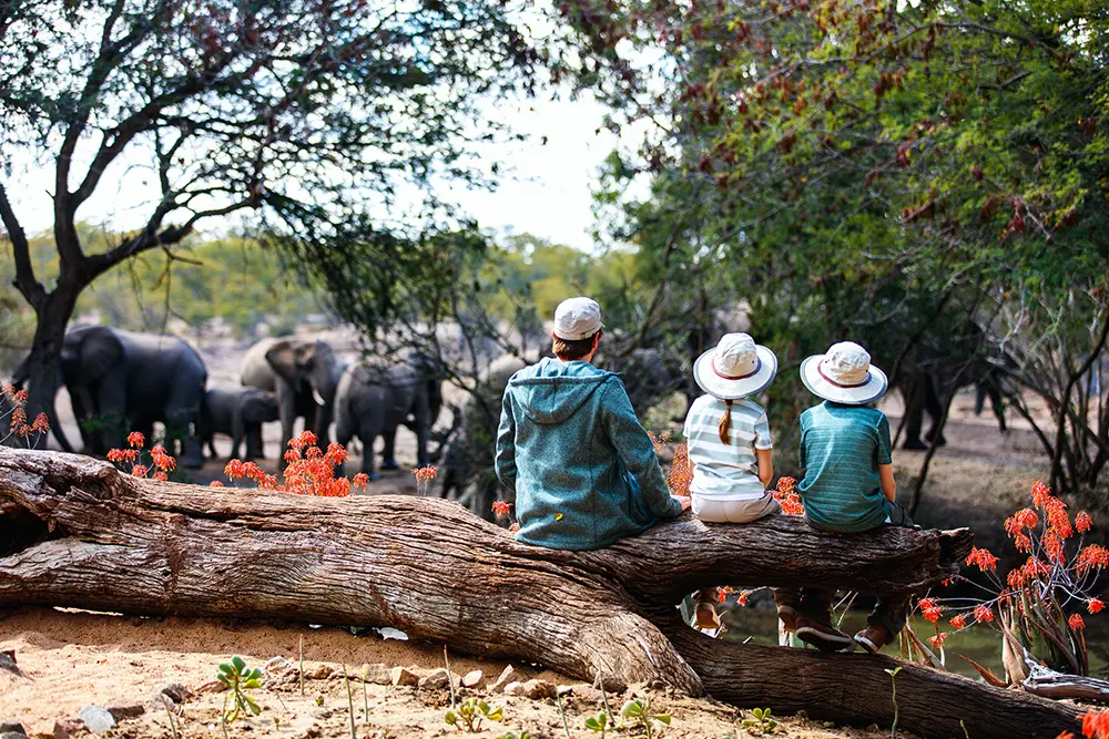 Family-Friendly Safari Packages: Unforgettable Adventures for All Ages