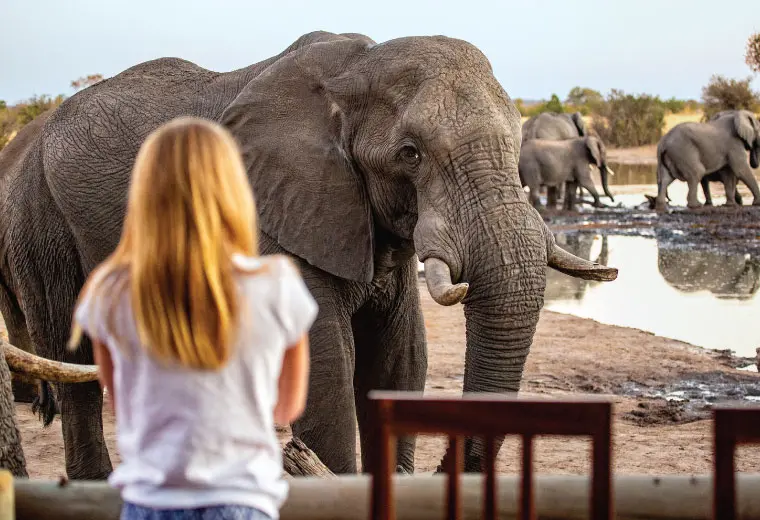 Discover Uganda 7 Uganda Safari Adventure – Explore the Best Wildlife Parks & Gorilla Trekking!