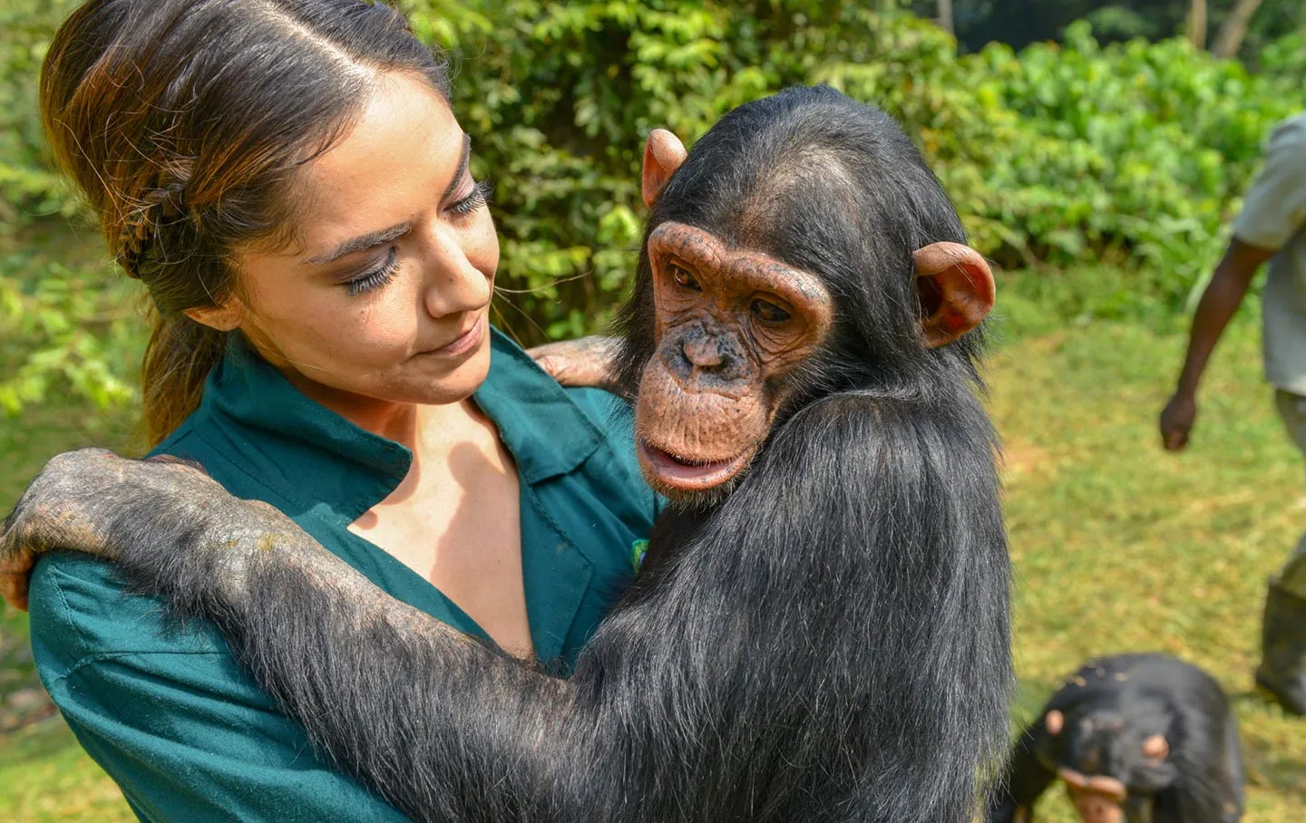 Discover Uganda 2 Ngamba Island Chimpanzee Sanctuary