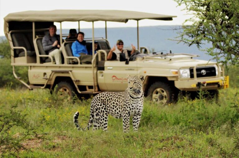day_1_-_game_drive_at_okonjima_nature_reserve_3_(1)__schema
