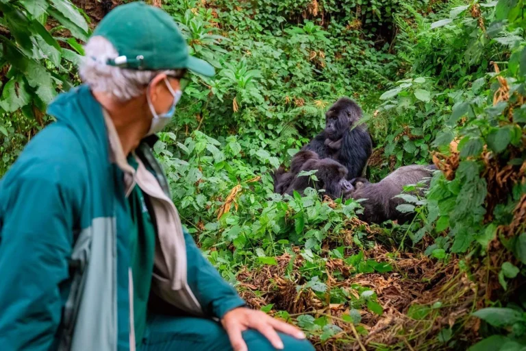 best gorilla trekking safaris in Uganda