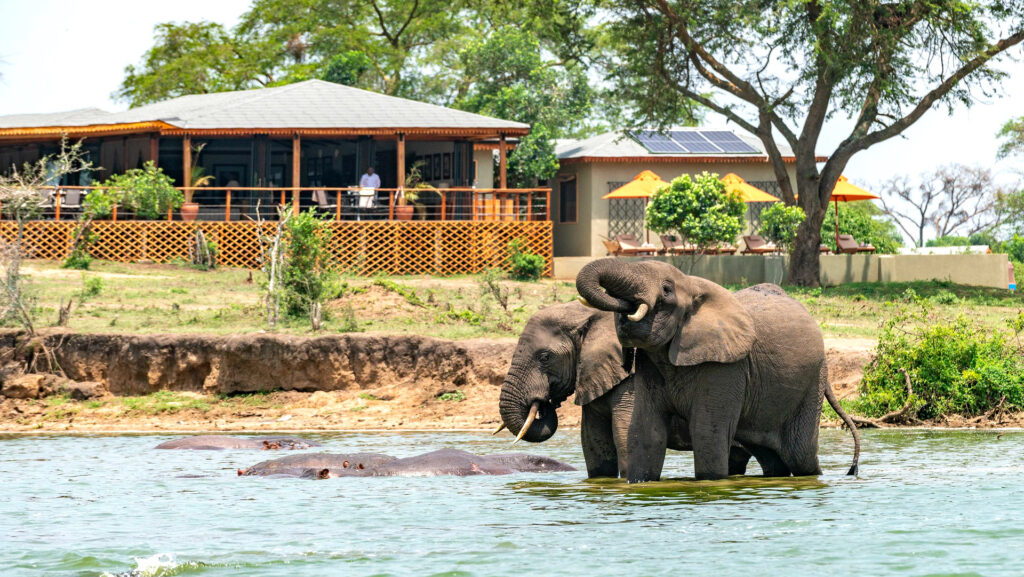 River Safaris: Adventure on the Wild Side with Tribes Gorilla Trekking Tours