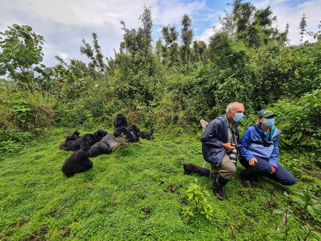Exploring the Wonders of DR Congo Gorilla Trekking Tours