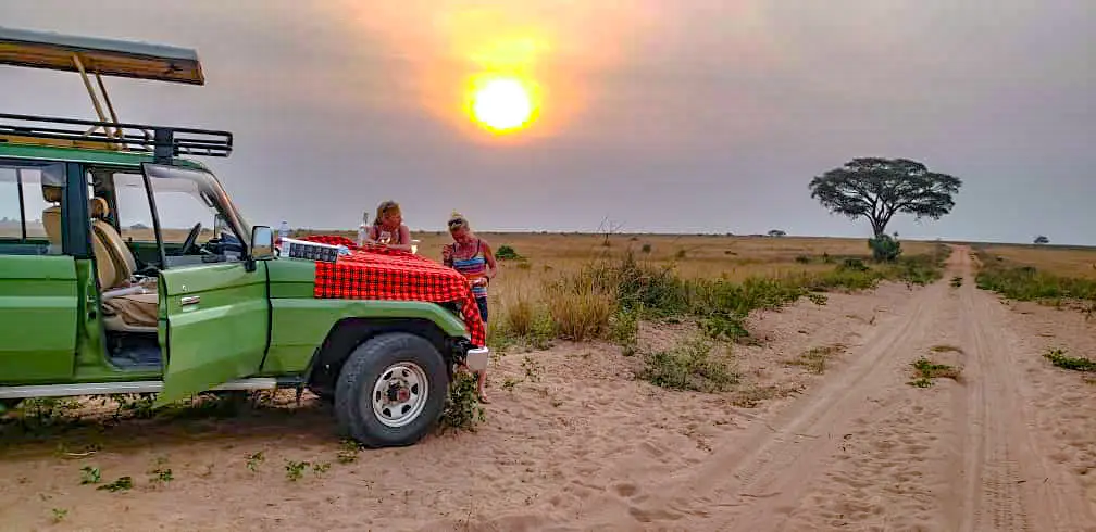 Best Safari Companies in Uganda | Why Tribes Gorilla Trekking Tours Tops the Charts