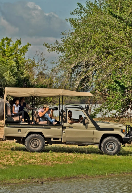 About Us 1 Tribes Gorilla Trekking Tours