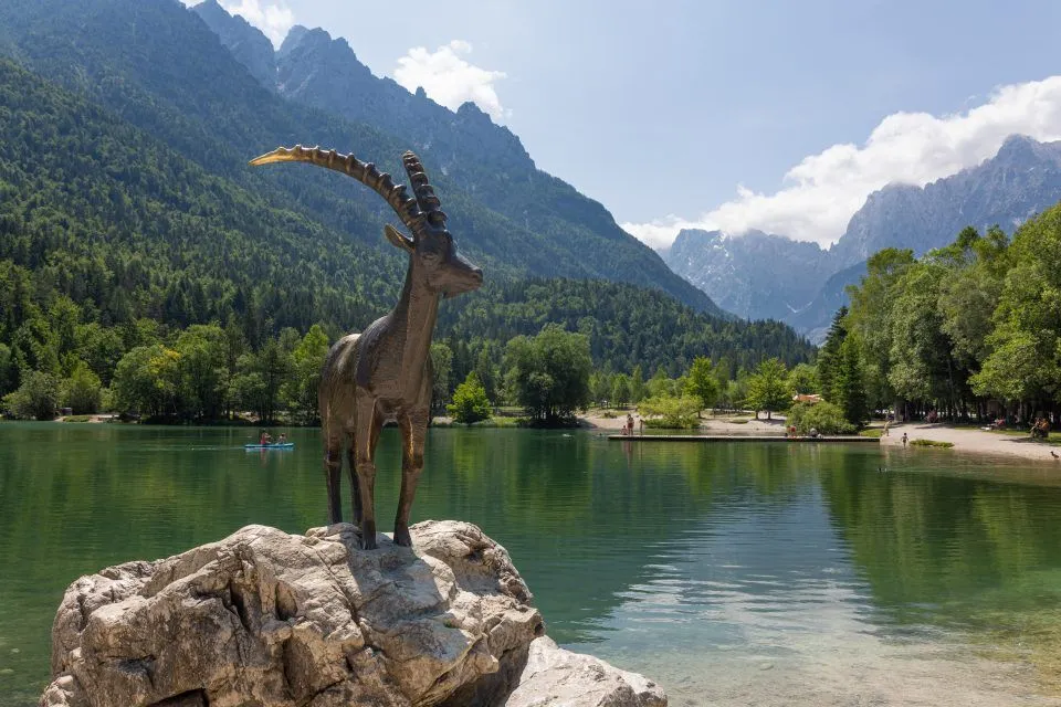 Planning a Multi-Country Safari: Uganda, Slovenia & Sweden Adventure Itinerary | European Safari Combo 2 0A5A2166 960x640 1 Gorilla Trekking Tours