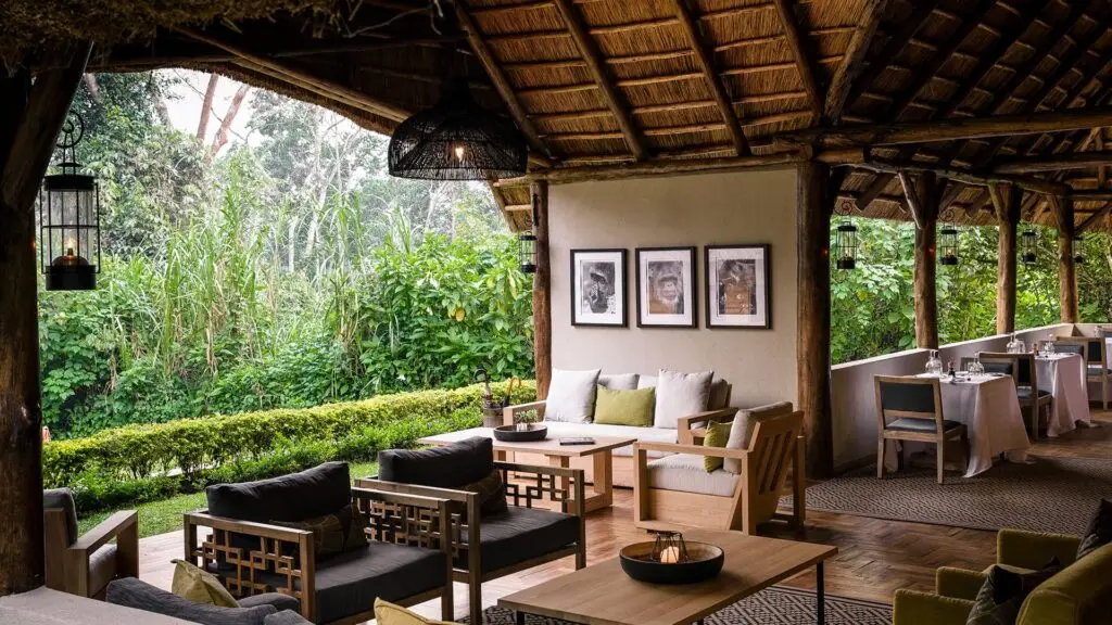 Sanctuary Gorilla Forest Camp Longue Uganda Safaris | Tribes Gorilla Trekking Tours