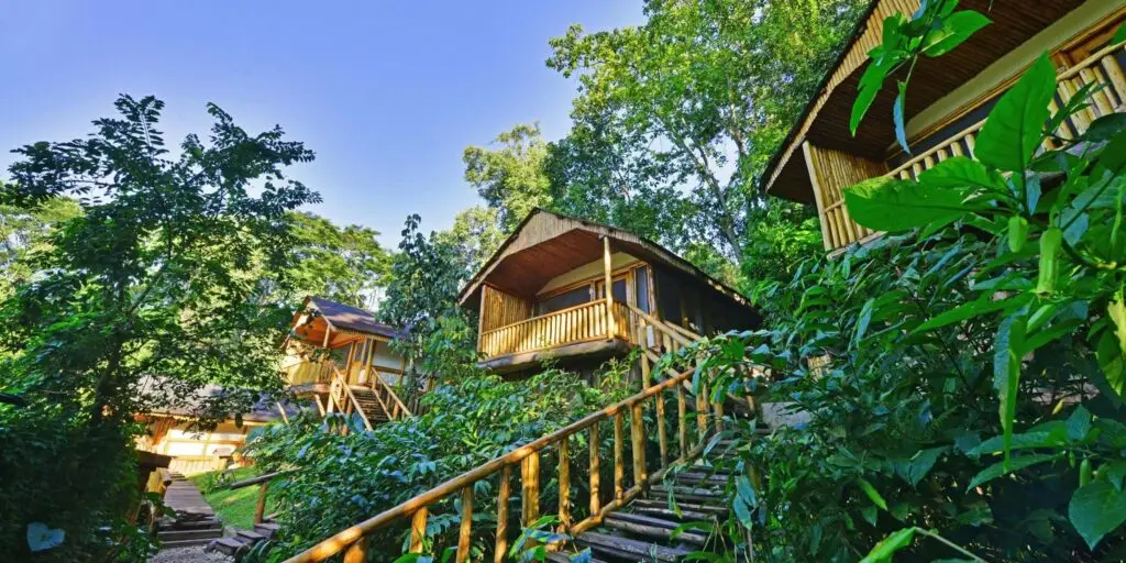 guest rooms buhoma lodge bwindi uganda Uganda Safaris | Tribes Gorilla Trekking Tours