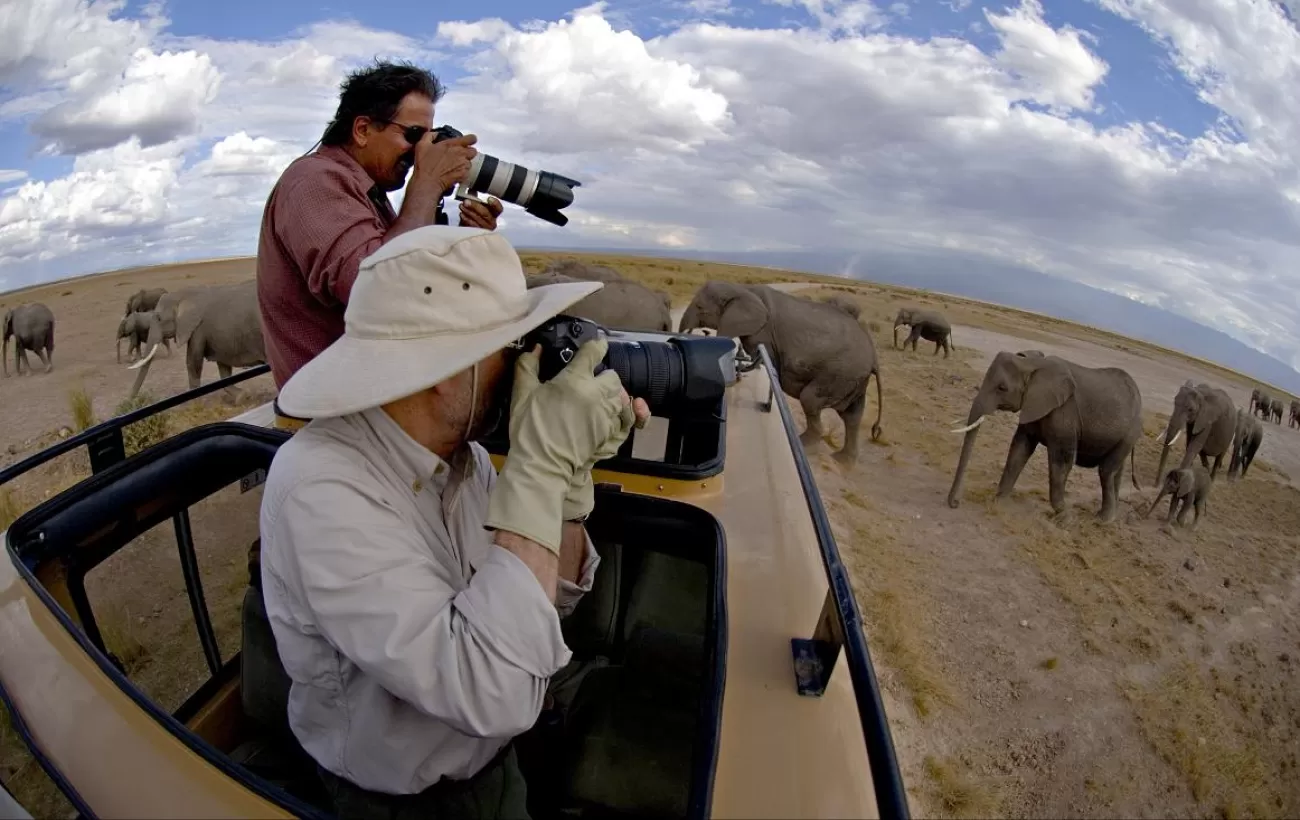 Home 5 5 Days Gorillas & Wildlife