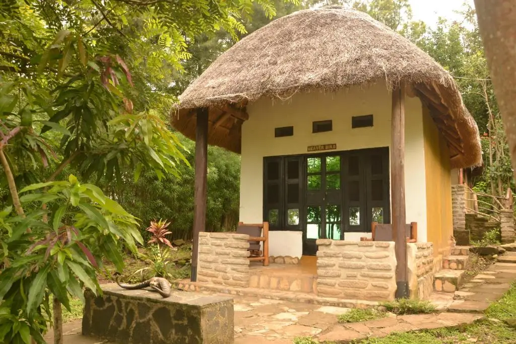 542714096.jpg Uganda Safaris | Tribes Gorilla Trekking Tours