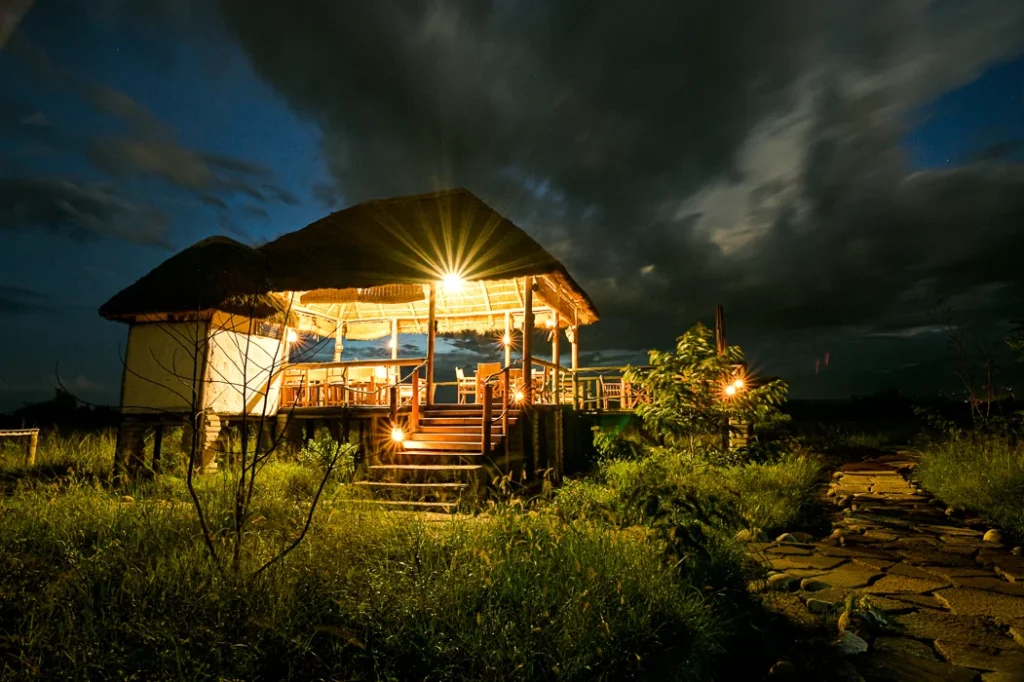 Home 38 D855829 Uganda Safaris | Tribes Gorilla Trekking Tours