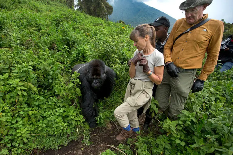 Gorilla-Photography-Safari