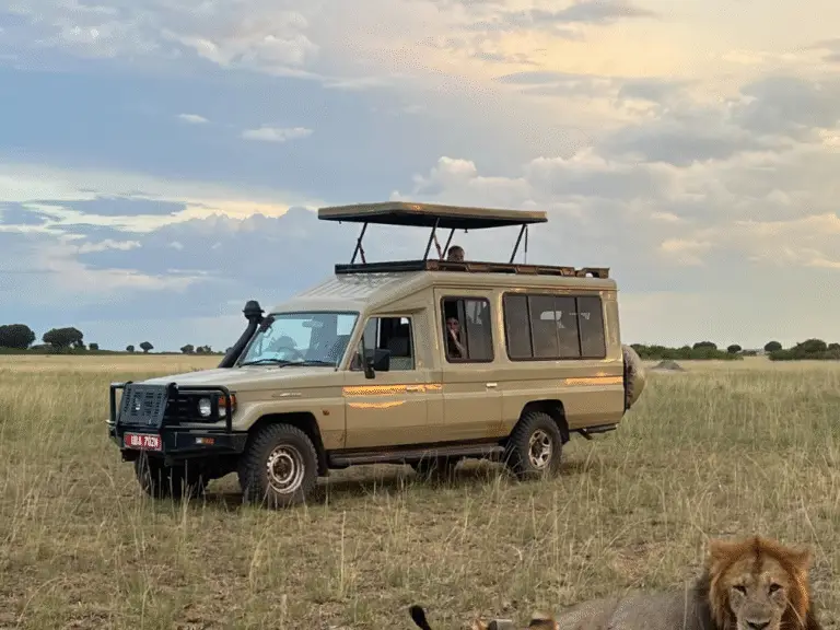 Epic 9-Day Uganda Safari Adventure: Gorillas, Big Game & a Birding Paradise 🦍🦜 6 Best Adventure Company for Uganda Big Seven Safaris: Tribes Gorilla trekking tours