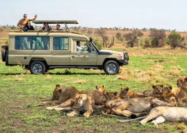 Primates and craters: Kibale, Queen, Bwindi (7 days)