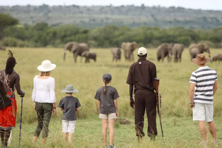 Epic 9-Day Uganda Safari Adventure: Gorillas, Big Game & a Birding Paradise 🦍🦜 7 kenya_family-safari_-1060x706