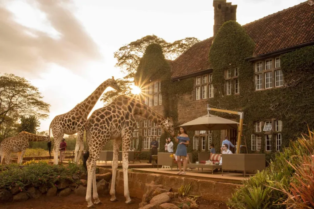 kenya family giraffe manor 1060x706 1 Uganda Safaris | Tribes Gorilla Trekking Tours