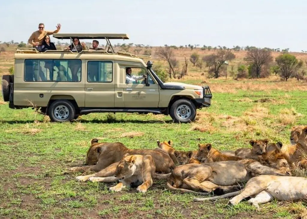 l fe68ead764b6f3bff72e8b5371d413fd e1759614684633.jpg Uganda Safaris | Tribes Gorilla Trekking Tours