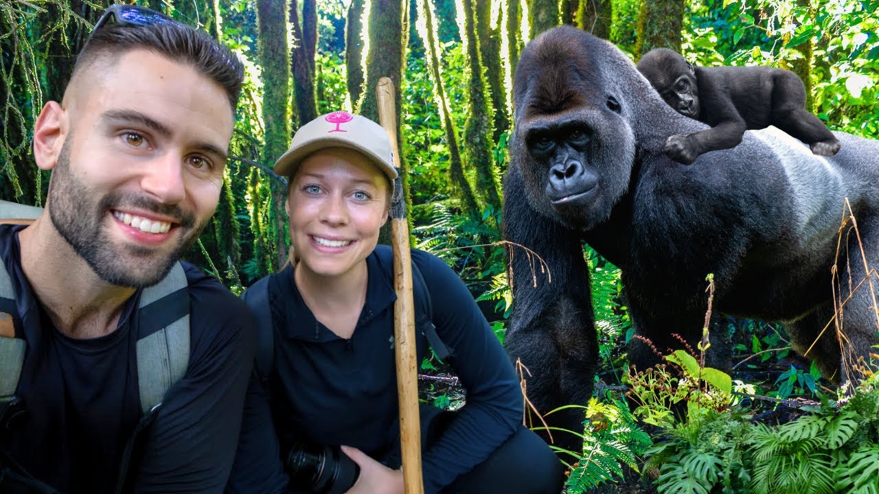 maxresdefault 1 Gorilla Trekking Tours