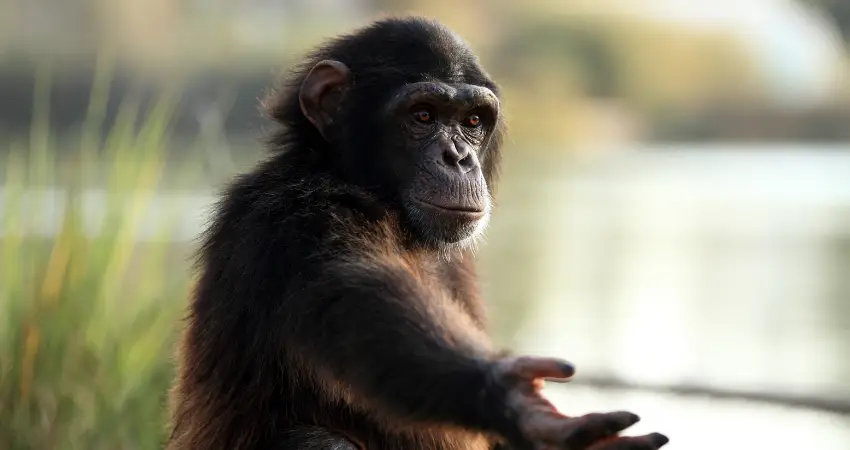 Everything You Need to Know Before Your Trip